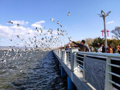 昆明滇池风景区-图1