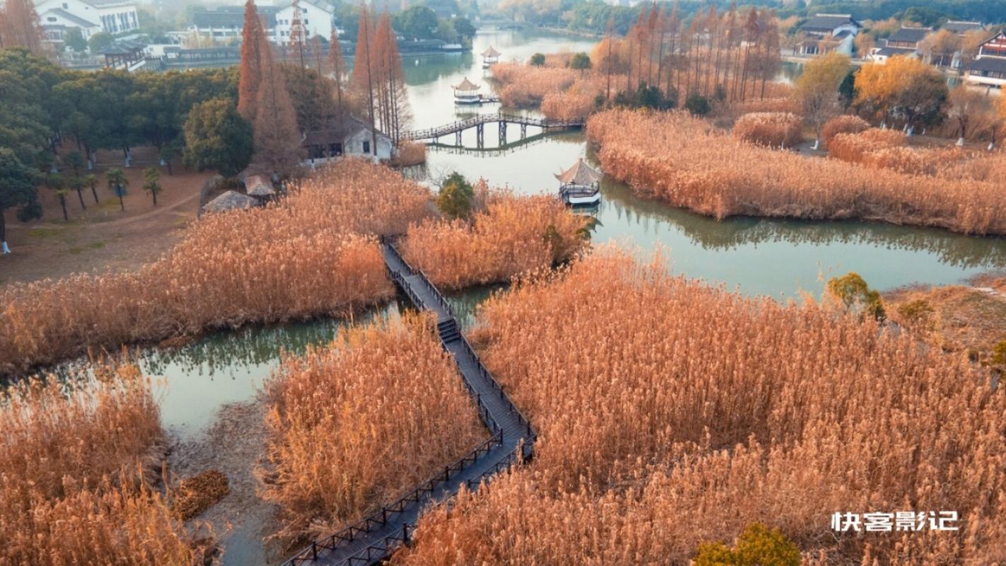 芦苇荡风景区-图1