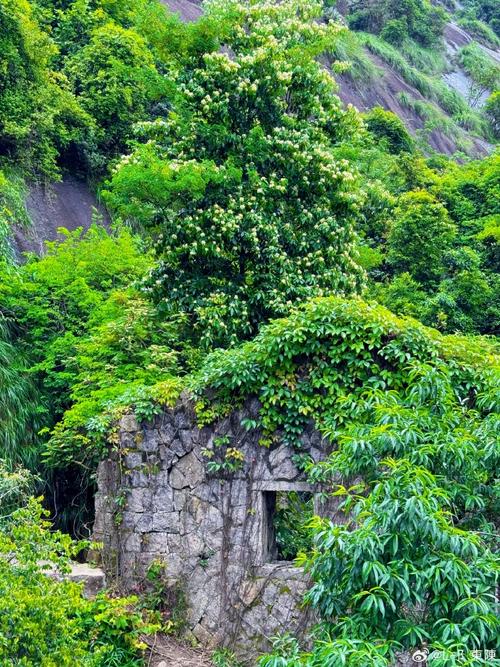 福州白云洞风景区-图2