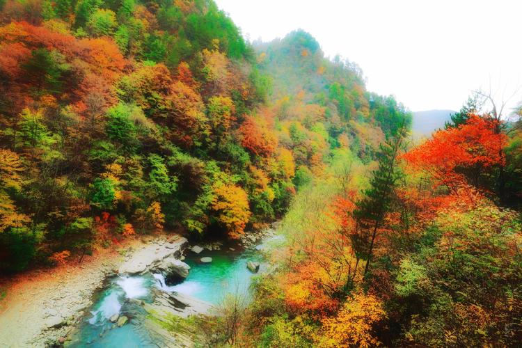 黎坪风景区-图3