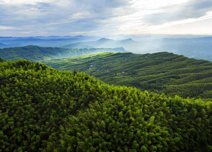 宜宾竹海风景区-图2