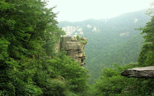 泰安锦绣谷风景区-图3