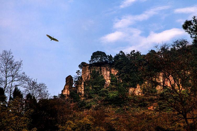 重庆巴南区风景区-图2