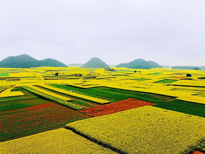 罗平风景区有哪些-图1