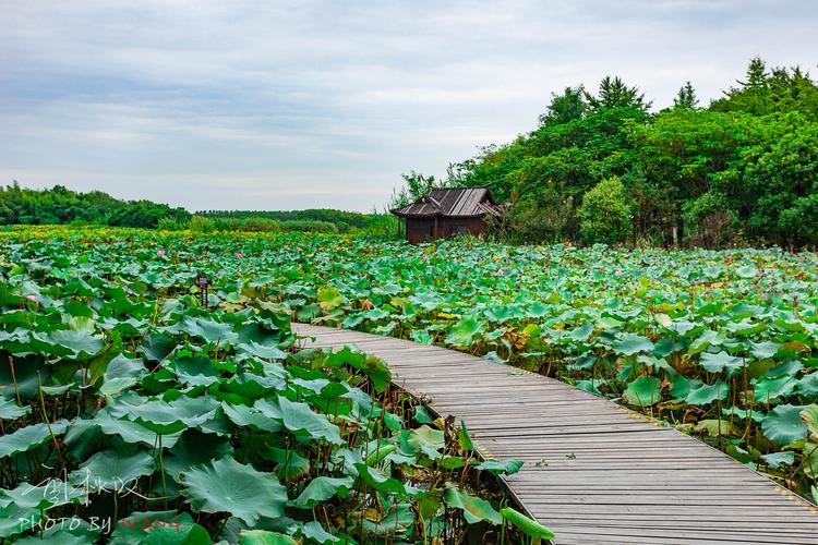 阳澄湖风景区哪里好玩-图1