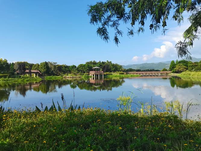 石屏异龙湖风景区门票-图1