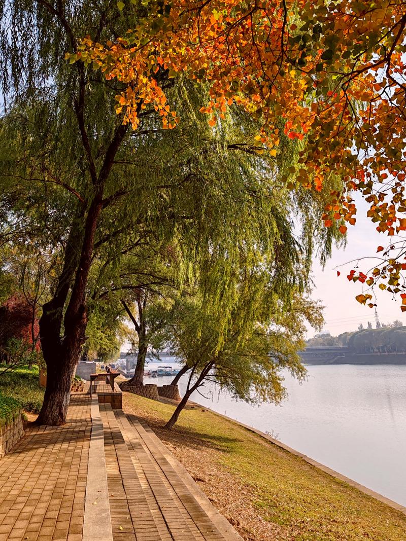 漯河沙澧河风景区-图3