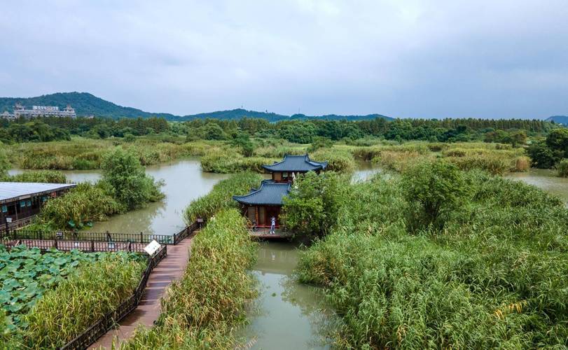 下渚湖风景区-图2