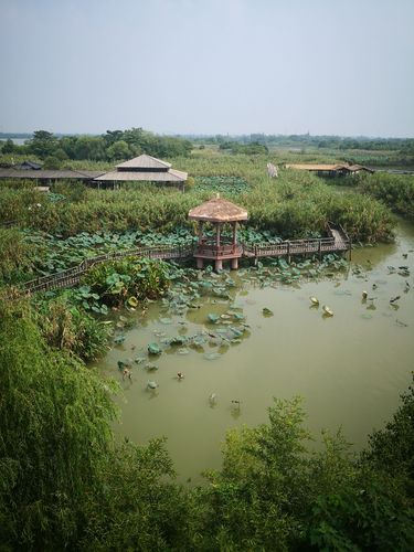 下渚湖风景区-图1