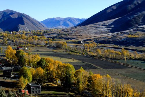 新都桥风景区-图1