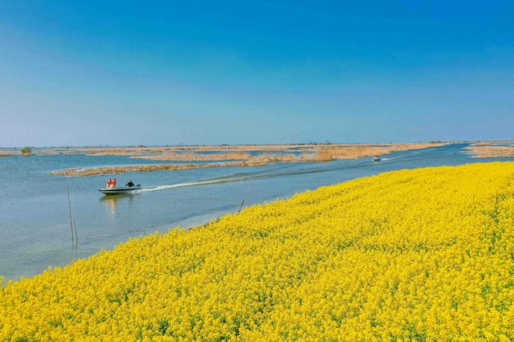 金湖白马湖风景区-图1