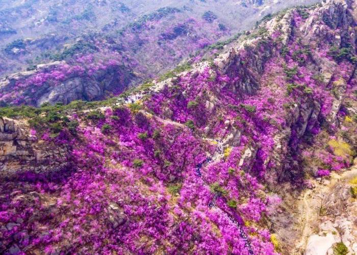 青岛大珠山风景区-图1