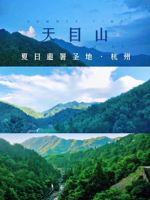 天目山风景区天气-图2