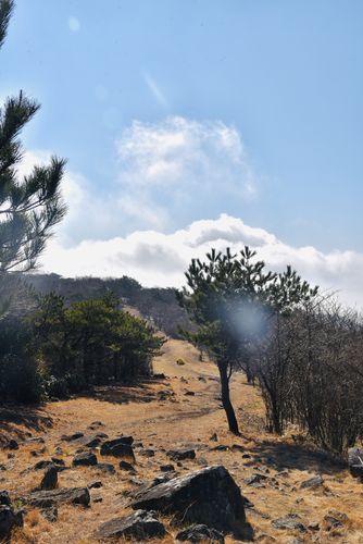 天目山风景区天气-图1