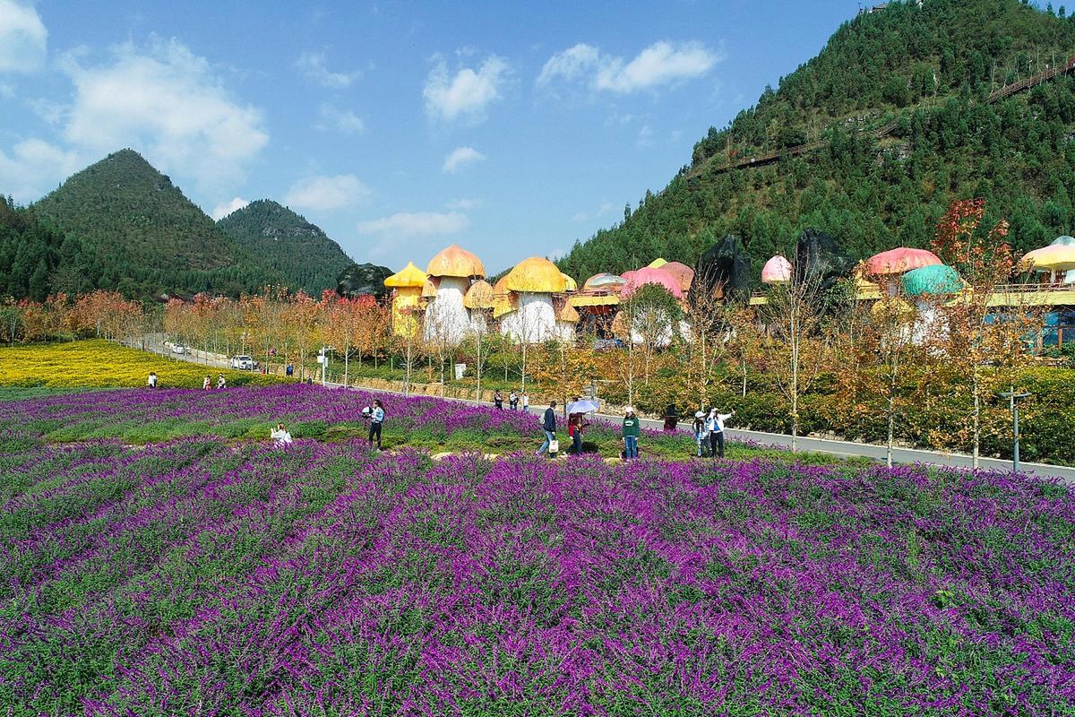 芜湖丫山风景区-图3