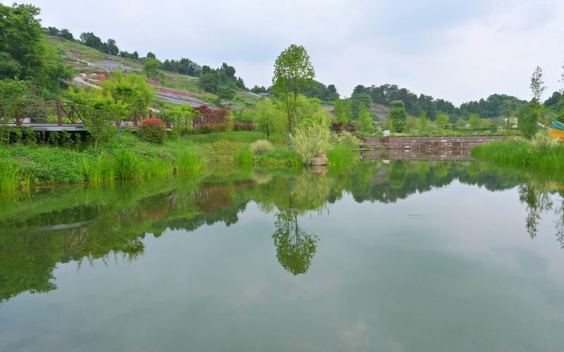 成都龙泉风景区-图3