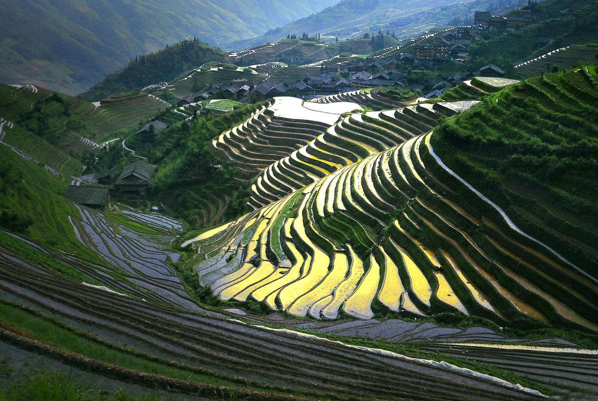 龙脊山自然风景区-图1