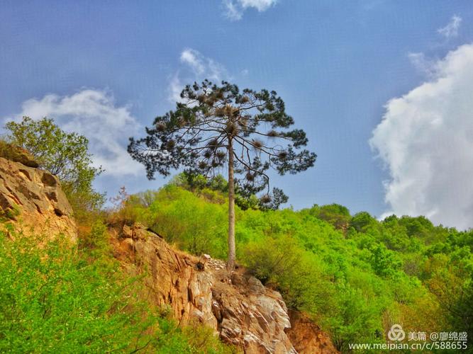 苍鹭峰自然风景区-图2