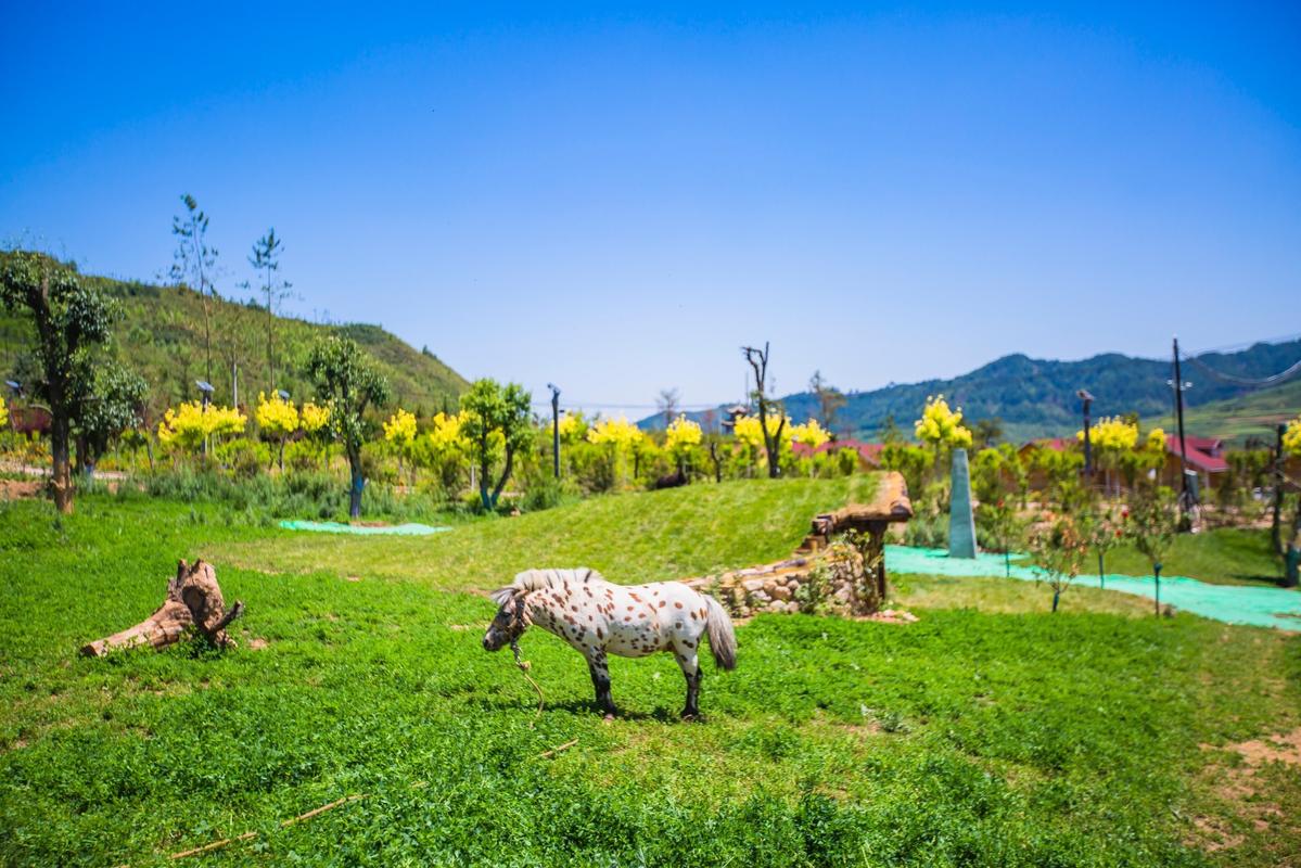 鹿鸣山风景区-图3