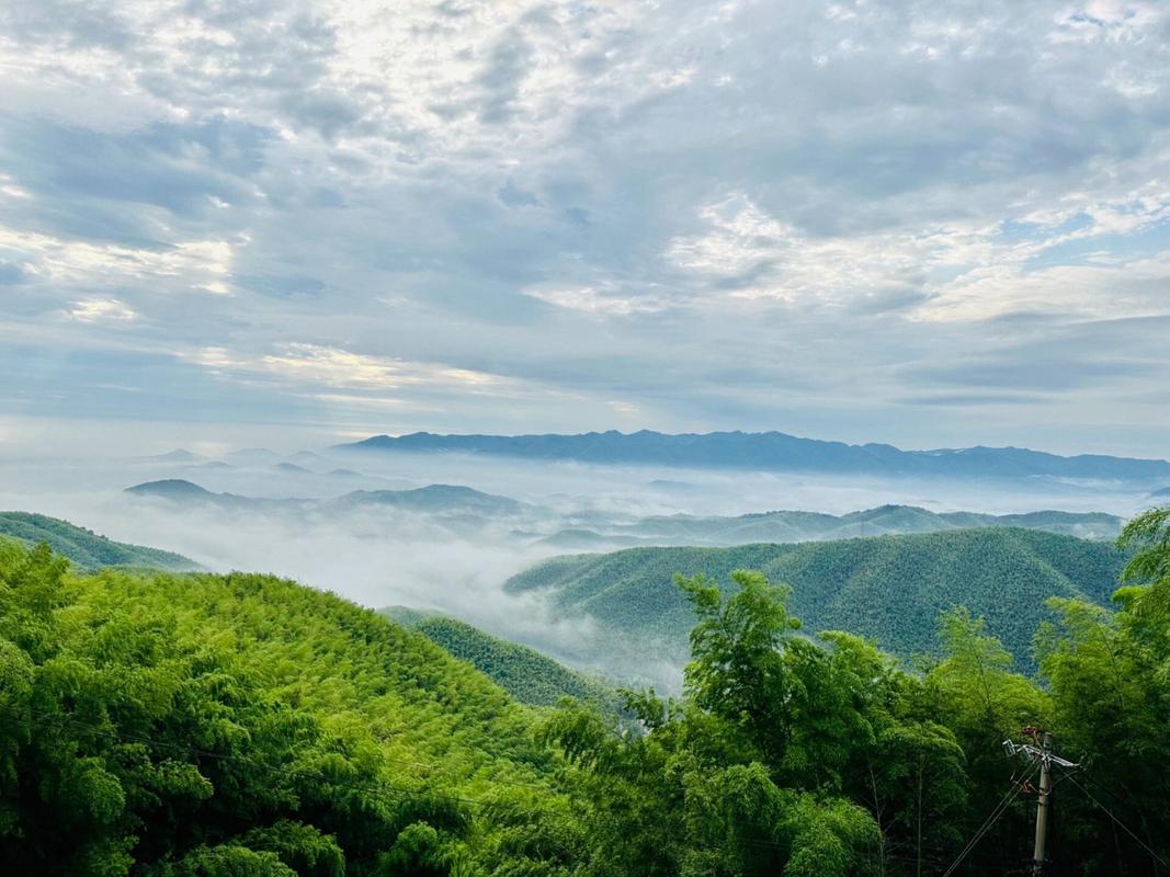 笄山竹海风景区-图2