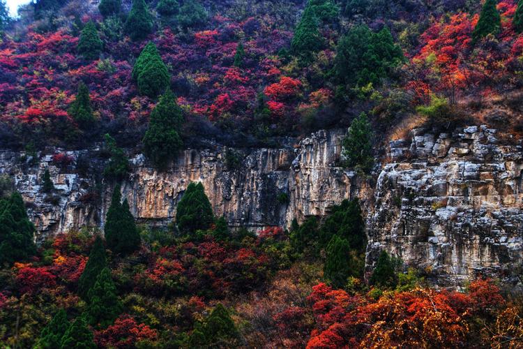 北京仙台山风景区-图2