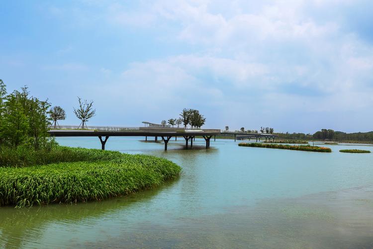 汾湖风景区-图1