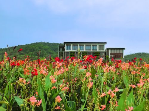 深圳龙岗坪地风景区-图1