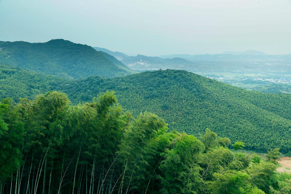 西径山风景区-图1