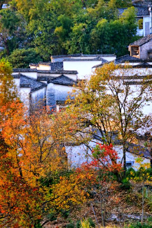 塔川风景区-图3