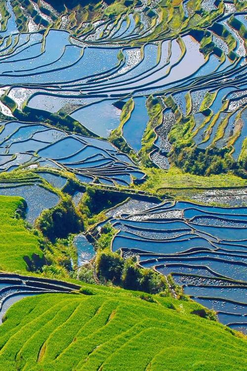 梯田风景区-图2