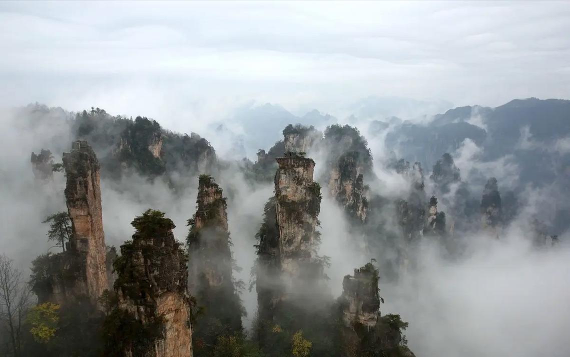 张家界风景区在哪-图1