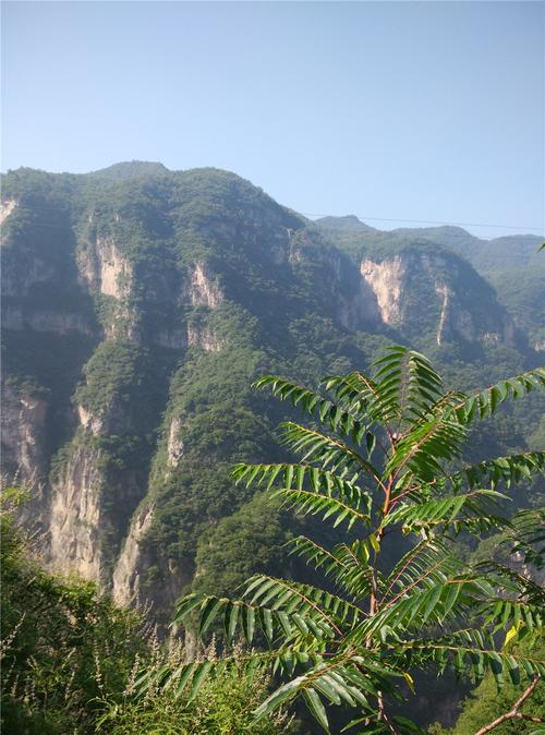 红豆杉风景区-图3