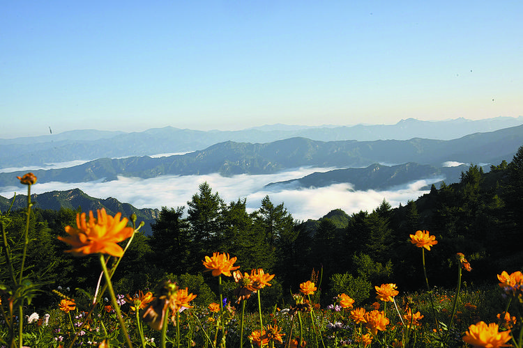 石家庄驼梁风景区-图1