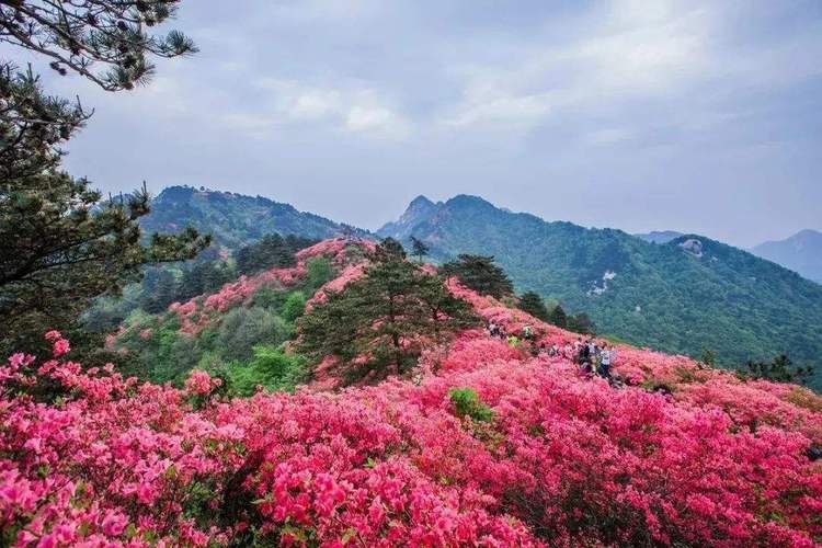 天马寨风景区-图1