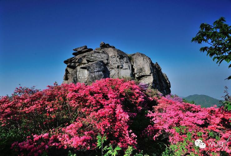 天马寨风景区-图3