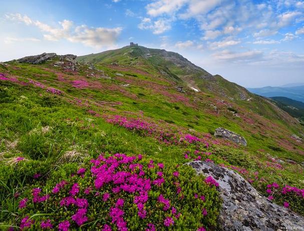 百花山自然风景区-图2