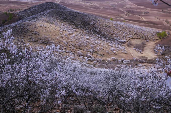 洮南昂岱山风景区-图3