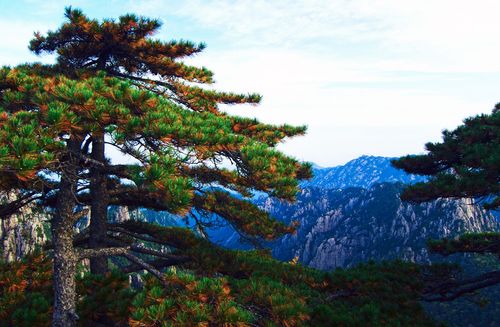 黑松林旅游风景区-图2