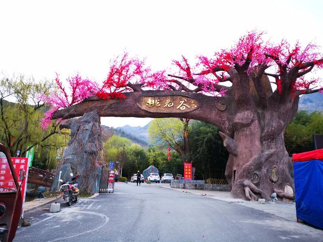 竹林关桃花谷风景区-图1