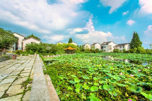 杨柳湖风景区-图1