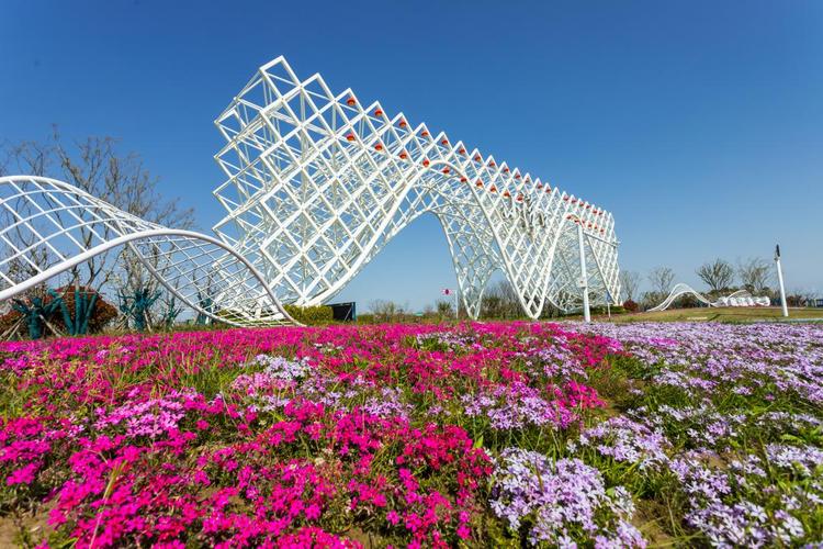 如东大洋口风景区-图2