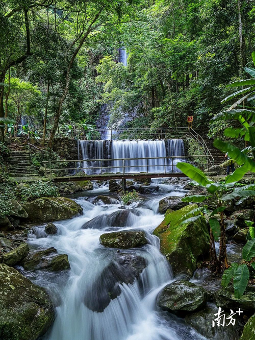 野趣沟风景区-图1