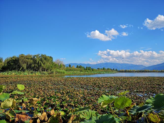 茈碧湖旅游风景区-图3