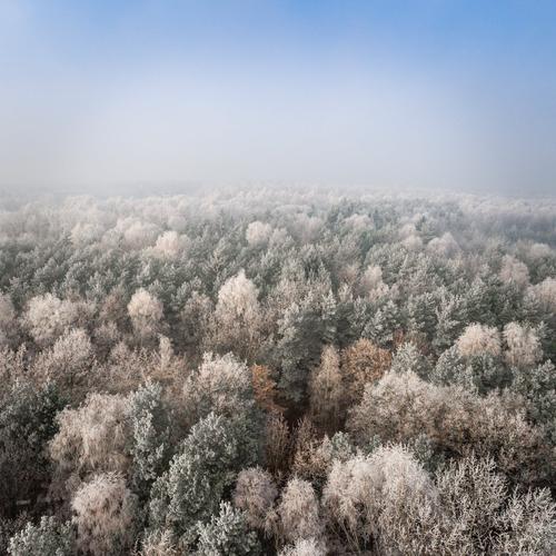 中国雪乡风景区-图2