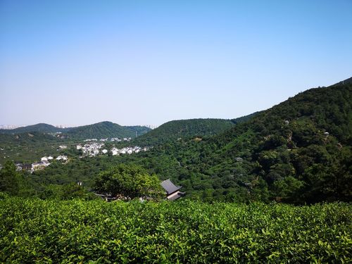 苏州大阳山风景区-图2