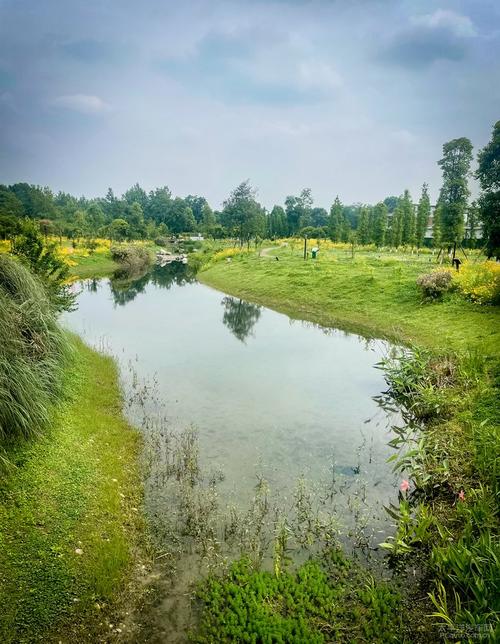 成都郫县香草湖风景区-图1