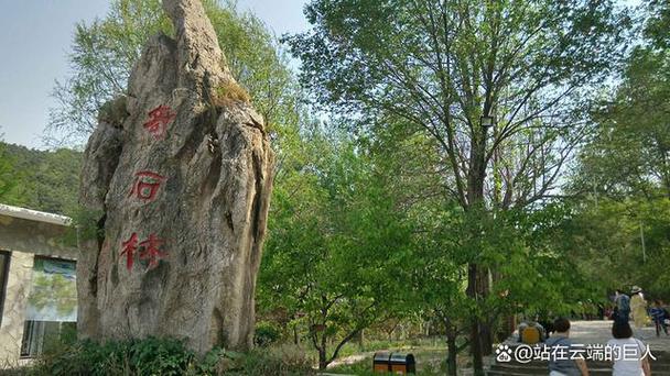 天津元古奇石林风景区-图2