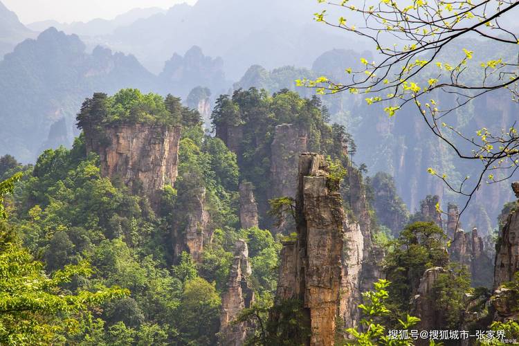 张家界天门山风景区-图2