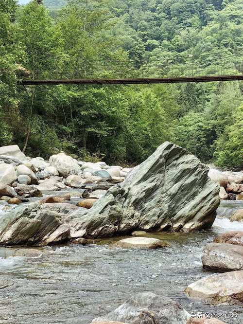 青川唐家河风景区-图3