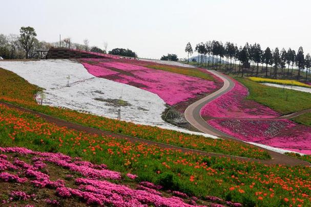 江西凤凰沟风景区-图3